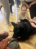 Kaanis-teraapia tund