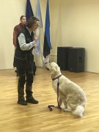 Kaanis-teraapia tund