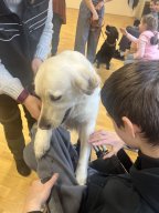 Kaanis-teraapia tund