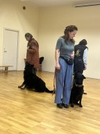 Kaanis-teraapia tund