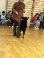 Kaanis-teraapia tund