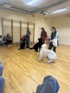 Kaanis-teraapia tund